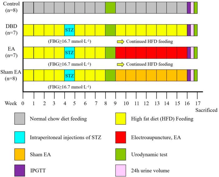https://cdn.ncbi.nlm.nih.gov/pmc/blobs/09fa/9868671/d5c27f1572d4/fphys-13-1008269-g001.jpg