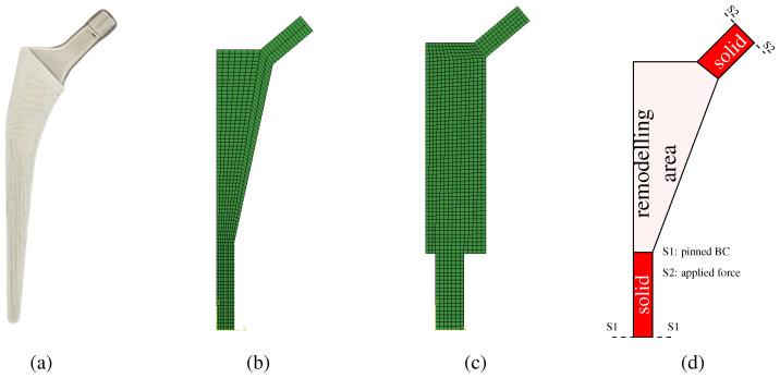 https://cdn.ncbi.nlm.nih.gov/pmc/blobs/09fb/12025189/3cd289e628d0/biomimetics-10-00238-g001.jpg