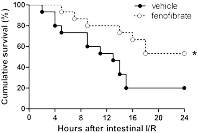 https://cdn.ncbi.nlm.nih.gov/pmc/blobs/09fc/4763198/0f6041430e95/srep22044-f6.jpg