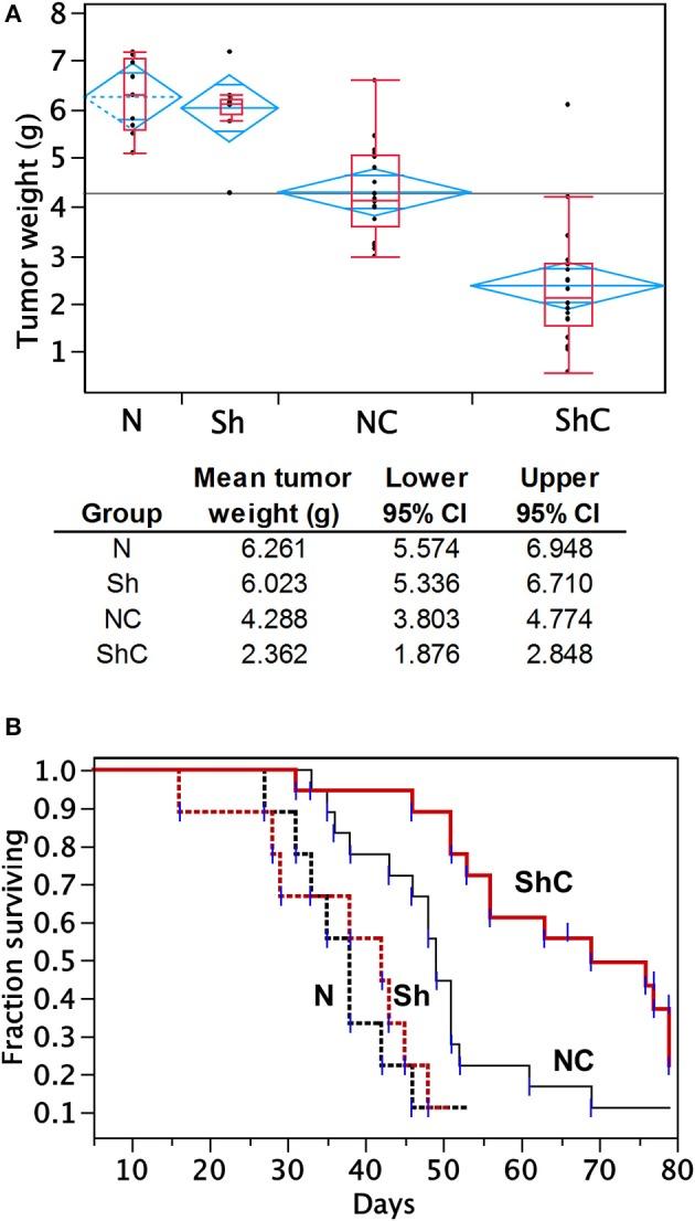 https://cdn.ncbi.nlm.nih.gov/pmc/blobs/09fe/6779793/13e3fcfbddd6/fonc-09-00986-g0005.jpg