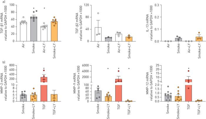 https://cdn.ncbi.nlm.nih.gov/pmc/blobs/09fe/7836504/b9bfa90bb1d6/00394-2020.05.jpg