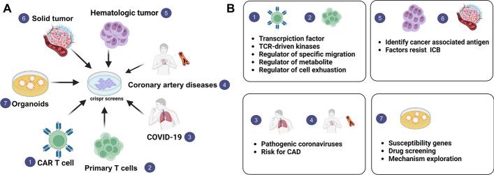 https://cdn.ncbi.nlm.nih.gov/pmc/blobs/0a00/11010303/530ff5139ec1/11658_2024_561_Fig5_HTML.jpg