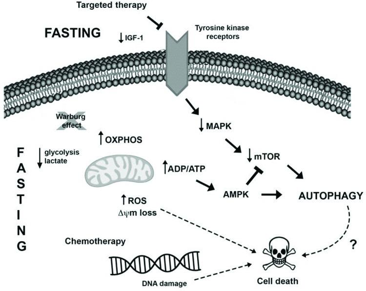https://cdn.ncbi.nlm.nih.gov/pmc/blobs/0a02/6257056/a3bb6beaf075/cln-73-814s-g001.jpg