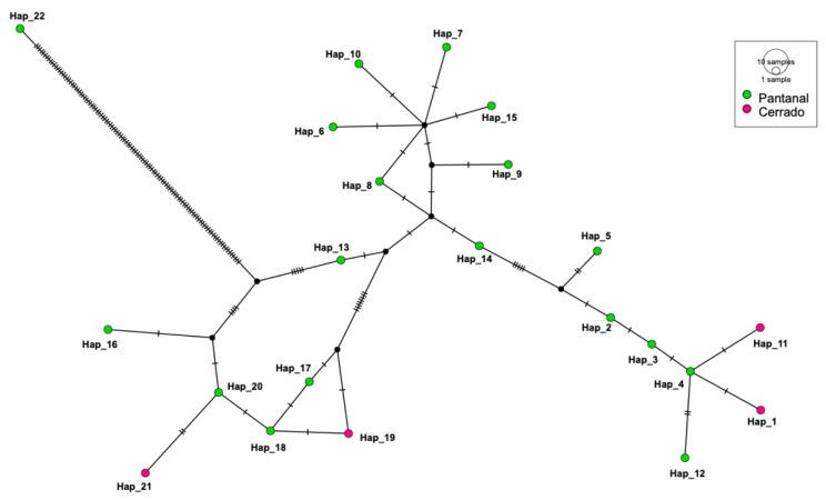 https://cdn.ncbi.nlm.nih.gov/pmc/blobs/0a02/8950906/364c7e4a777c/microorganisms-10-00614-g005.jpg