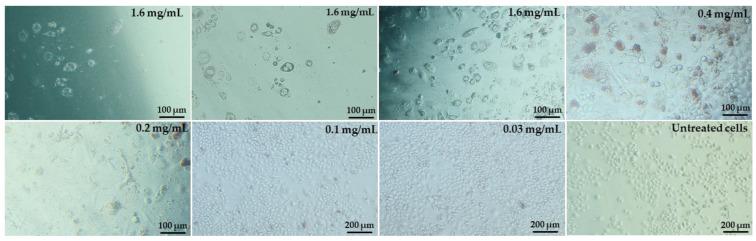 https://cdn.ncbi.nlm.nih.gov/pmc/blobs/0a03/10343249/0aa848678954/molecules-28-05064-g007.jpg