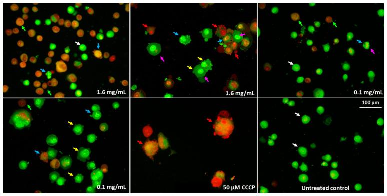 https://cdn.ncbi.nlm.nih.gov/pmc/blobs/0a03/10343249/0b5bd9a7fcd7/molecules-28-05064-g015.jpg