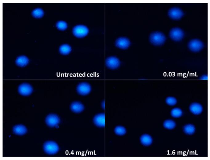 https://cdn.ncbi.nlm.nih.gov/pmc/blobs/0a03/10343249/1aadb2873b0e/molecules-28-05064-g009.jpg