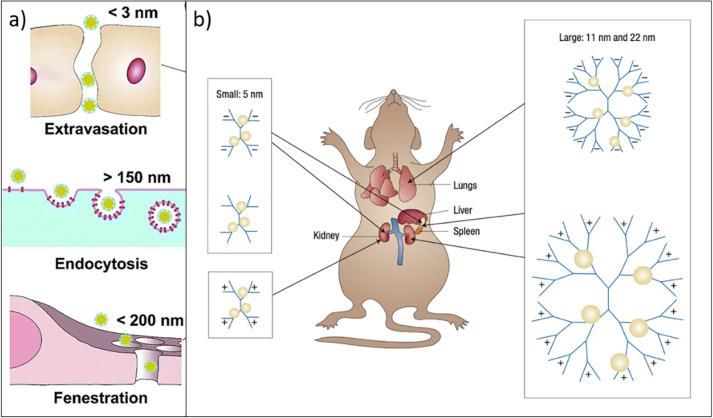https://cdn.ncbi.nlm.nih.gov/pmc/blobs/0a03/10591303/16a275993c9f/bg3c00021_0013.jpg