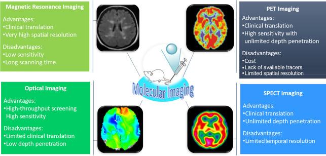 https://cdn.ncbi.nlm.nih.gov/pmc/blobs/0a03/10591303/499f8fbb70aa/bg3c00021_0001.jpg