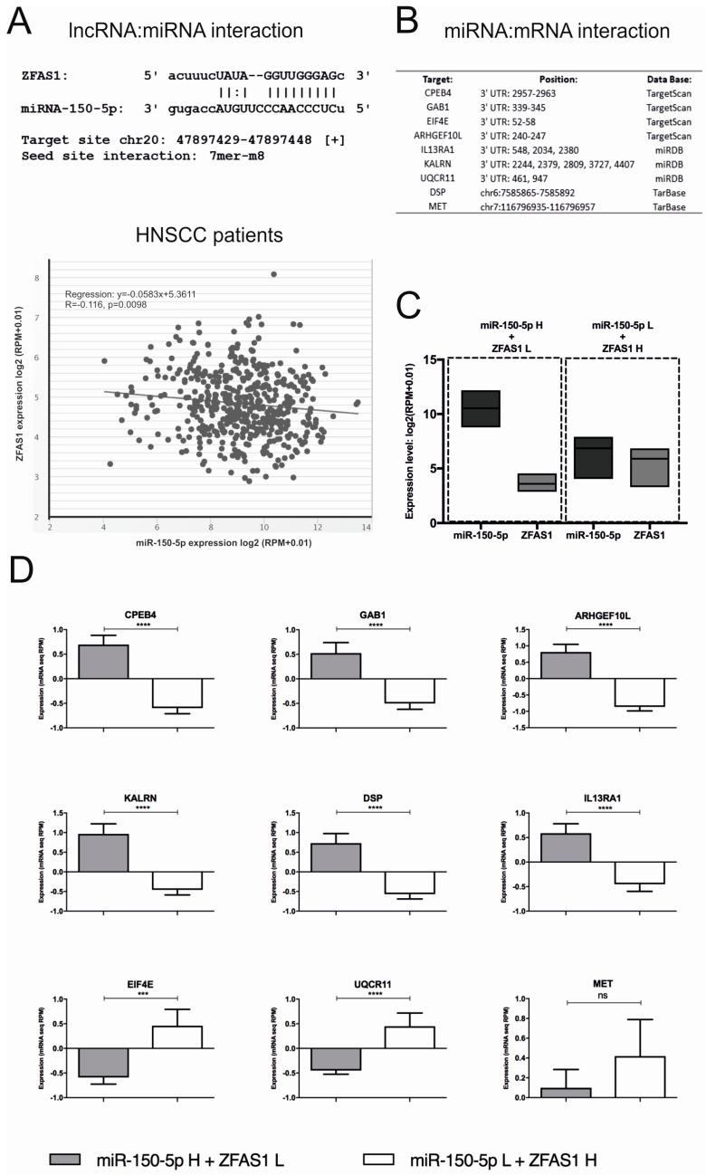https://cdn.ncbi.nlm.nih.gov/pmc/blobs/0a03/6523746/997d61e853c3/cells-08-00366-g005.jpg