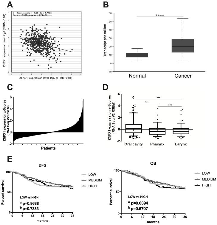https://cdn.ncbi.nlm.nih.gov/pmc/blobs/0a03/6523746/f3544e4b91f0/cells-08-00366-g004.jpg