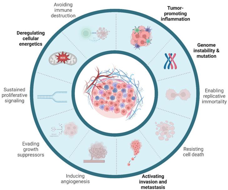https://cdn.ncbi.nlm.nih.gov/pmc/blobs/0a04/11720132/fa2bd3ca8e29/ijms-26-00215-g002.jpg