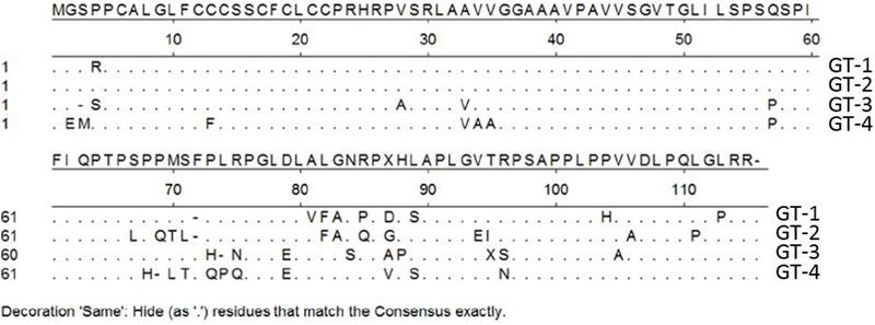 https://cdn.ncbi.nlm.nih.gov/pmc/blobs/0a04/5827553/d187ffdf06db/fmicb-09-00266-g003.jpg