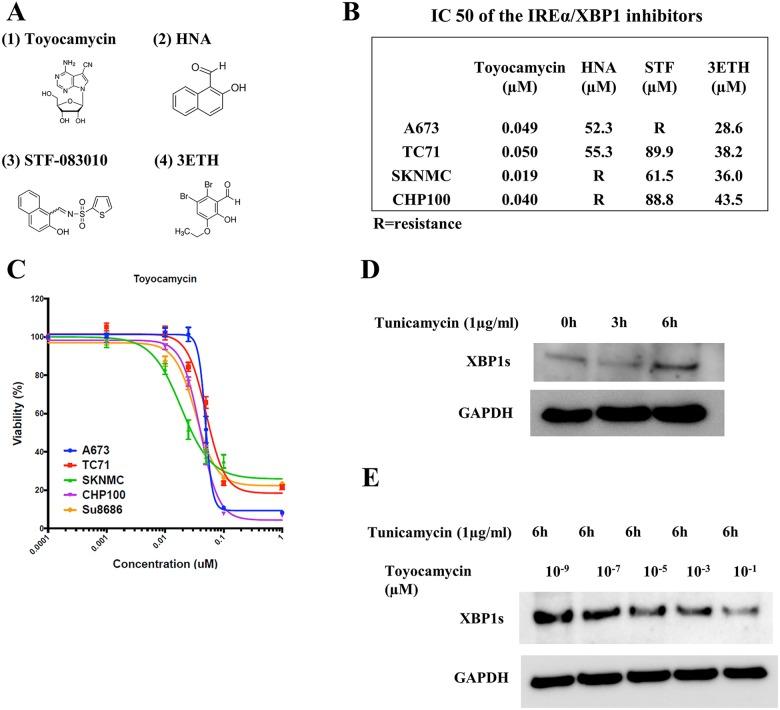 https://cdn.ncbi.nlm.nih.gov/pmc/blobs/0a04/5865680/b3b2ba9c5383/oncotarget-09-14428-g005.jpg