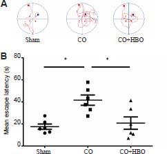 https://cdn.ncbi.nlm.nih.gov/pmc/blobs/0a05/9480357/003c1e419b9f/MGR-13-23-g002.jpg
