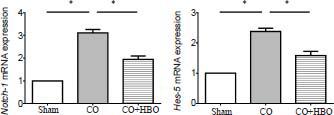 https://cdn.ncbi.nlm.nih.gov/pmc/blobs/0a05/9480357/09ba8607150b/MGR-13-23-g005.jpg
