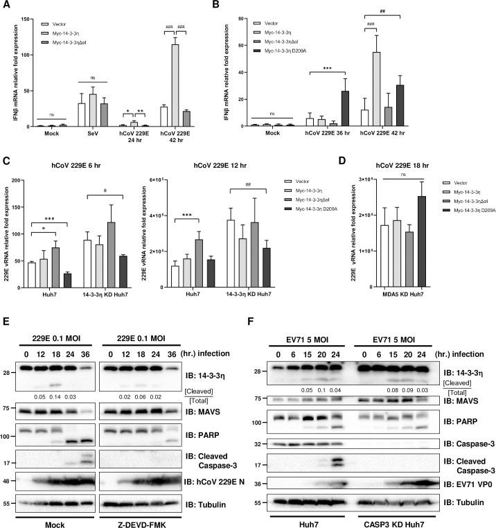 https://cdn.ncbi.nlm.nih.gov/pmc/blobs/0a08/11185488/c81eeb4dcc1b/ppat.1012287.g004.jpg