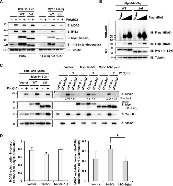 https://cdn.ncbi.nlm.nih.gov/pmc/blobs/0a08/11185488/f1c6e4cb2746/ppat.1012287.g003.jpg