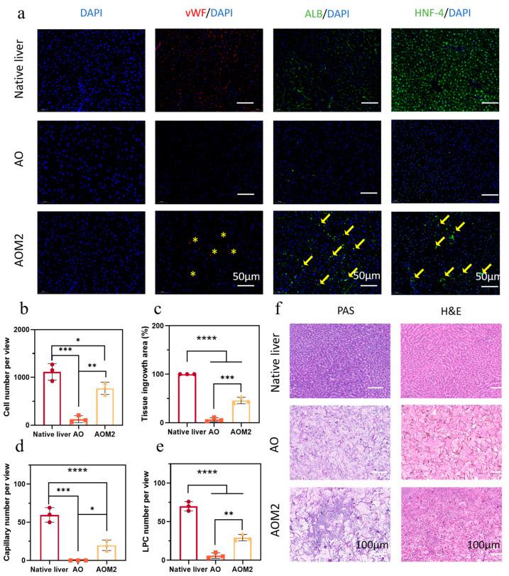 https://cdn.ncbi.nlm.nih.gov/pmc/blobs/0a09/10297613/19c9d192daf2/gels-09-00455-g009.jpg