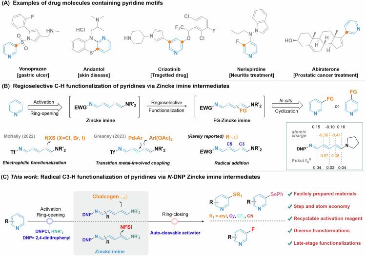 https://cdn.ncbi.nlm.nih.gov/pmc/blobs/0a0a/11358504/1cb132089447/41467_2024_51452_Fig1_HTML.jpg
