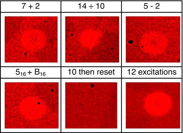 https://cdn.ncbi.nlm.nih.gov/pmc/blobs/0a0a/3715110/c51e24aac6e7/adma0023-3408-f3.jpg