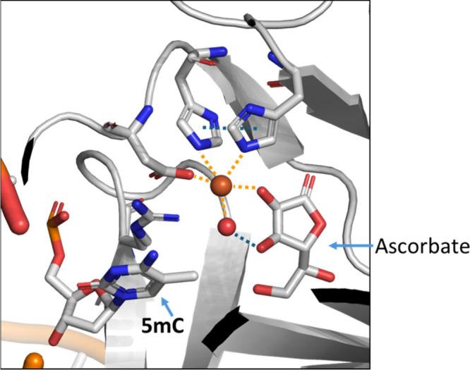 https://cdn.ncbi.nlm.nih.gov/pmc/blobs/0a0d/11831678/efd62fc97ac7/jm4c02342_0006.jpg