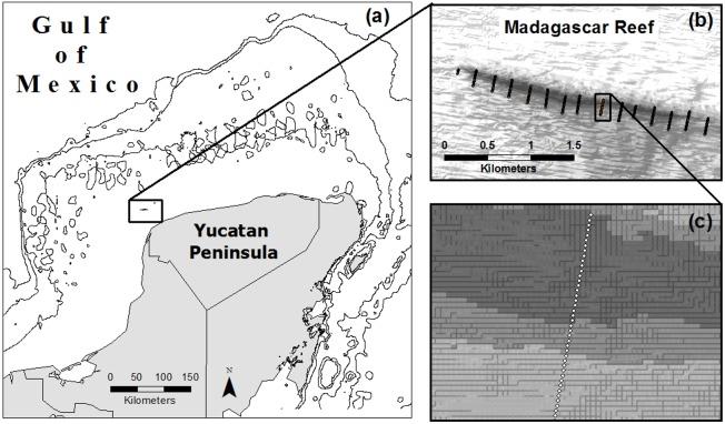 https://cdn.ncbi.nlm.nih.gov/pmc/blobs/0a0f/5712470/23aceb45d1f3/peerj-05-4078-g001.jpg