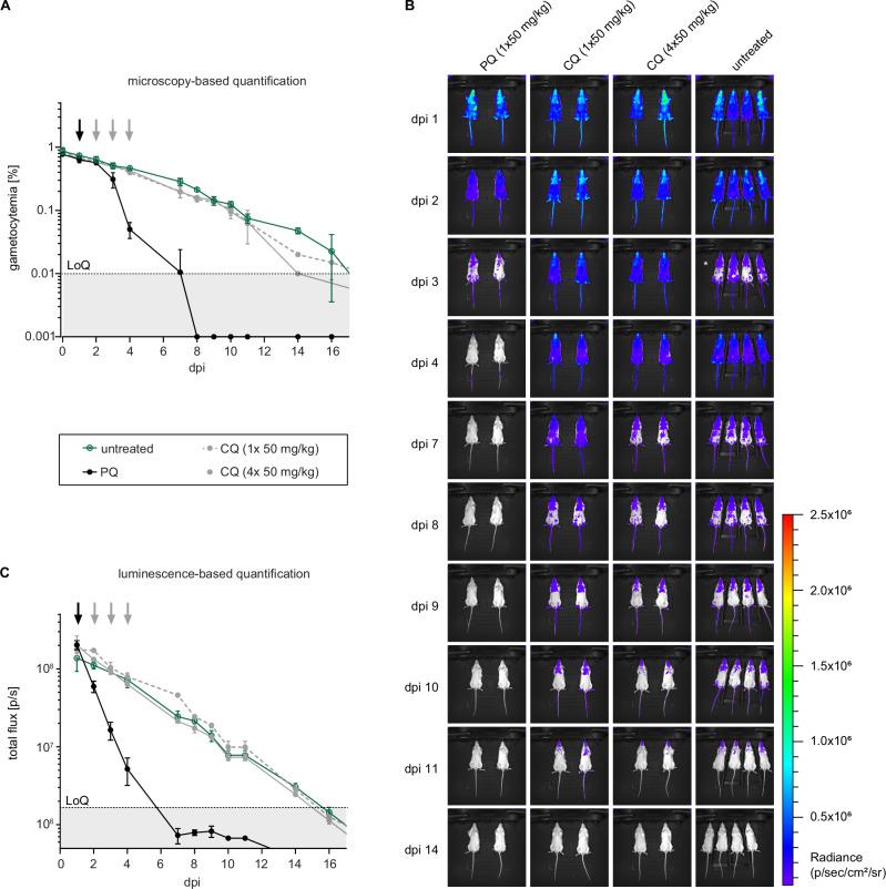 https://cdn.ncbi.nlm.nih.gov/pmc/blobs/0a10/12297408/52f85f772f05/41467_2025_62014_Fig4_HTML.jpg