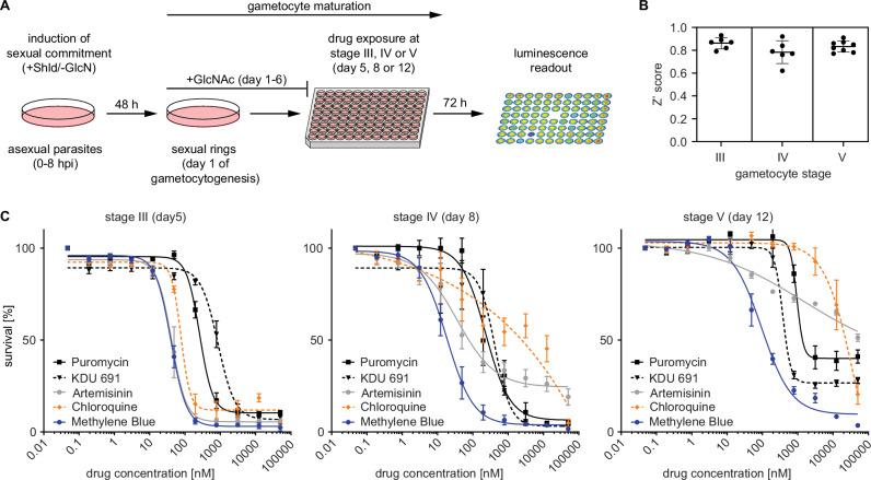 https://cdn.ncbi.nlm.nih.gov/pmc/blobs/0a10/12297408/e6f931a1fd25/41467_2025_62014_Fig2_HTML.jpg
