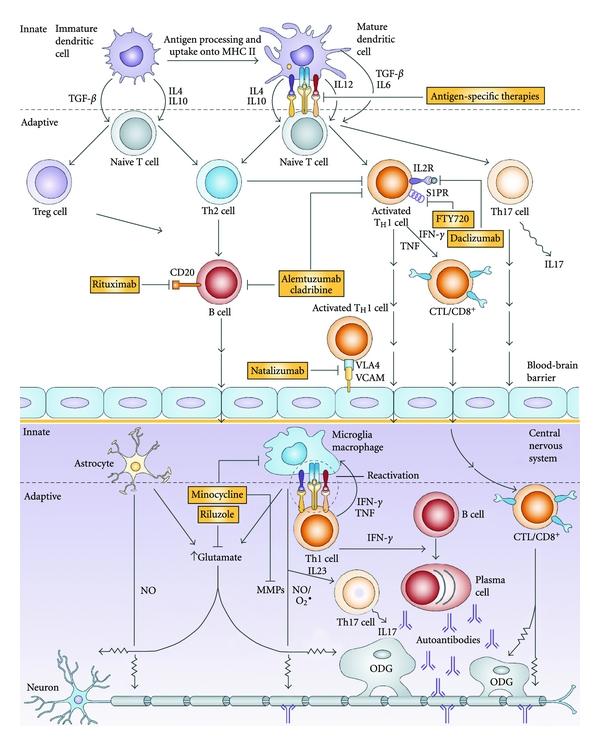 https://cdn.ncbi.nlm.nih.gov/pmc/blobs/0a12/3235500/b85add325ba4/CDI2012-970789.002.jpg
