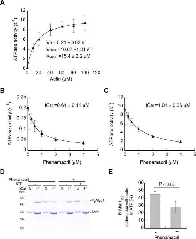 https://cdn.ncbi.nlm.nih.gov/pmc/blobs/0a12/7469408/15574d85e073/ao0c02886_0004.jpg