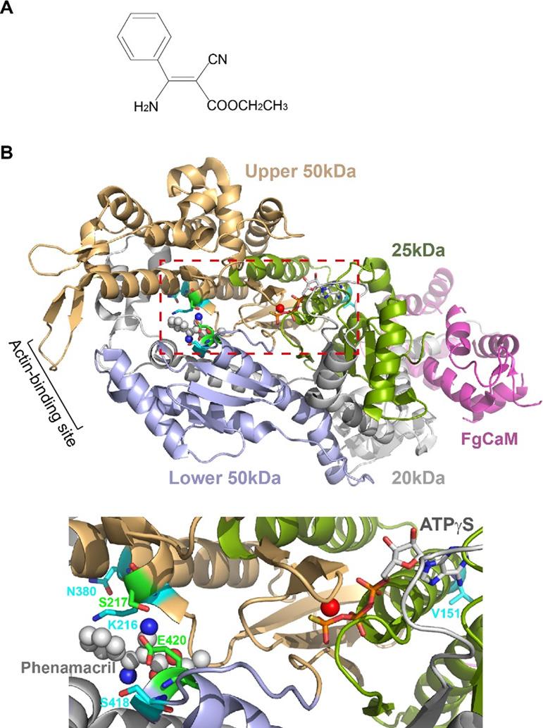 https://cdn.ncbi.nlm.nih.gov/pmc/blobs/0a12/7469408/5ab35d065080/ao0c02886_0002.jpg