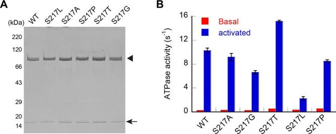 https://cdn.ncbi.nlm.nih.gov/pmc/blobs/0a12/7469408/fe6ab7b13497/ao0c02886_0005.jpg