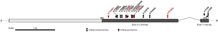 https://cdn.ncbi.nlm.nih.gov/pmc/blobs/0a13/3859630/0d43ad8eb3be/mv-v19-2508-f1.jpg