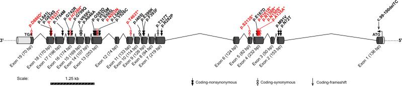 https://cdn.ncbi.nlm.nih.gov/pmc/blobs/0a13/3859630/5ca23ef464a3/mv-v19-2508-f2.jpg