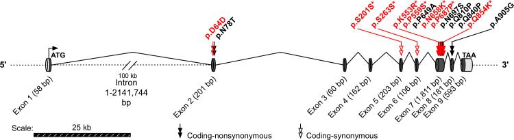 https://cdn.ncbi.nlm.nih.gov/pmc/blobs/0a13/3859630/ca8e5c7241f8/mv-v19-2508-f3.jpg