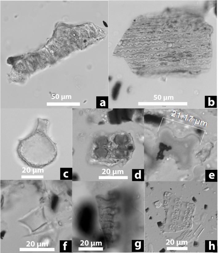 https://cdn.ncbi.nlm.nih.gov/pmc/blobs/0a13/8360526/6ffa48ca0e8c/pone.0255833.g007.jpg