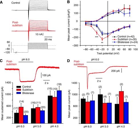 https://cdn.ncbi.nlm.nih.gov/pmc/blobs/0a14/2829170/29c469f40bbb/emboj2009398f3.jpg