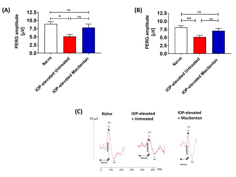 https://cdn.ncbi.nlm.nih.gov/pmc/blobs/0a17/9491150/6d0498360657/mv-v28-165-f2.jpg