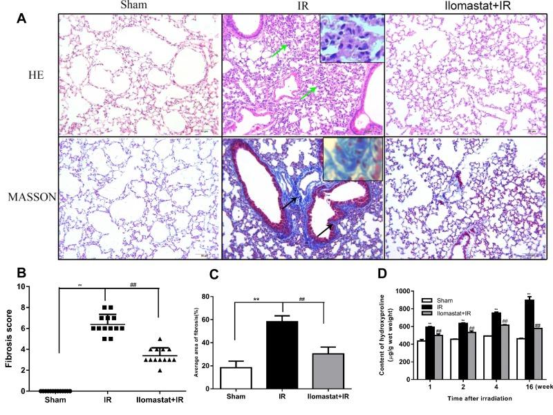 https://cdn.ncbi.nlm.nih.gov/pmc/blobs/0a18/5617386/0e12c6ee316f/oncotarget-08-60789-g005.jpg