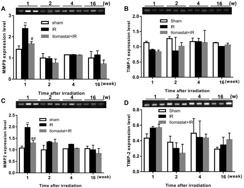 https://cdn.ncbi.nlm.nih.gov/pmc/blobs/0a18/5617386/90fbaca102f8/oncotarget-08-60789-g002-1.jpg
