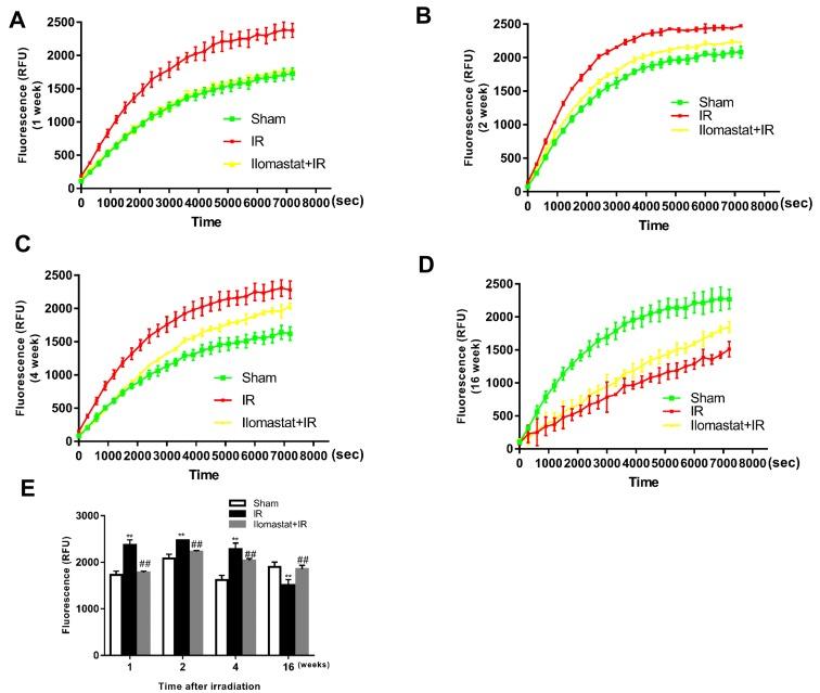 https://cdn.ncbi.nlm.nih.gov/pmc/blobs/0a18/5617386/a21f07df9dd4/oncotarget-08-60789-g001.jpg