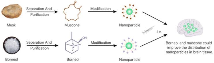 https://cdn.ncbi.nlm.nih.gov/pmc/blobs/0a19/10708032/477692bdf476/molecules-28-07767-g004.jpg