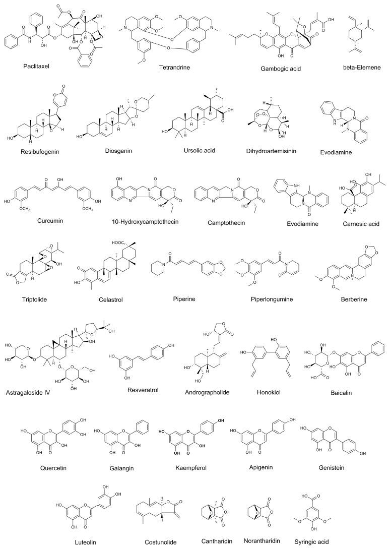 https://cdn.ncbi.nlm.nih.gov/pmc/blobs/0a19/10708032/e562f7b761b9/molecules-28-07767-g001.jpg