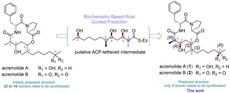 https://cdn.ncbi.nlm.nih.gov/pmc/blobs/0a19/11314444/20a98ff937ce/molecules-29-03599-g001.jpg