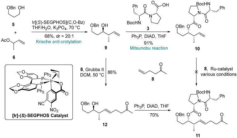 https://cdn.ncbi.nlm.nih.gov/pmc/blobs/0a19/11314444/25c98dbe04c3/molecules-29-03599-sch002.jpg