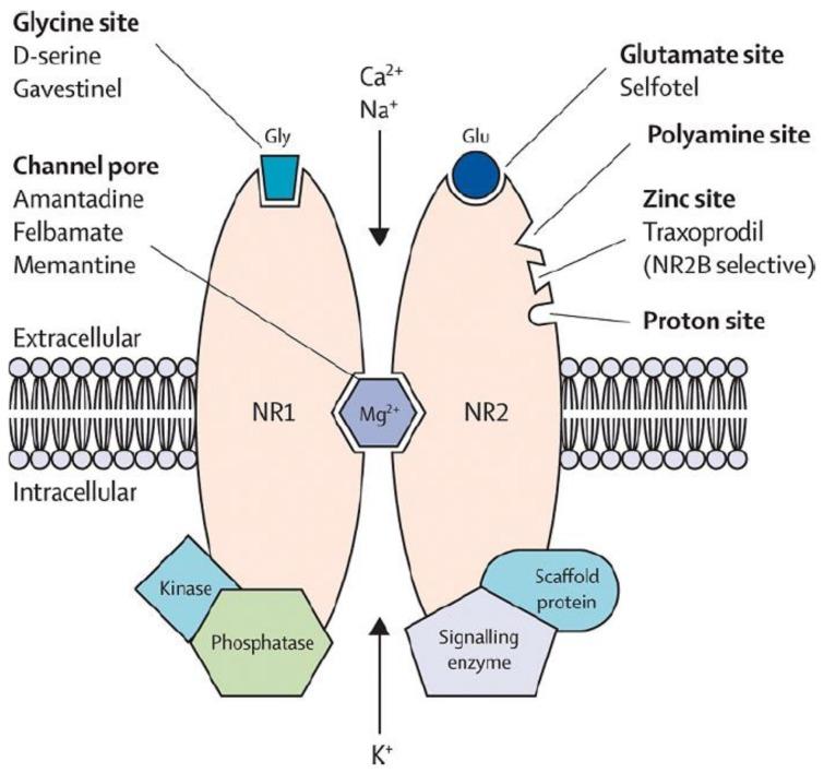 https://cdn.ncbi.nlm.nih.gov/pmc/blobs/0a19/6024559/bddea6236ae9/nutrients-10-00730-g001.jpg