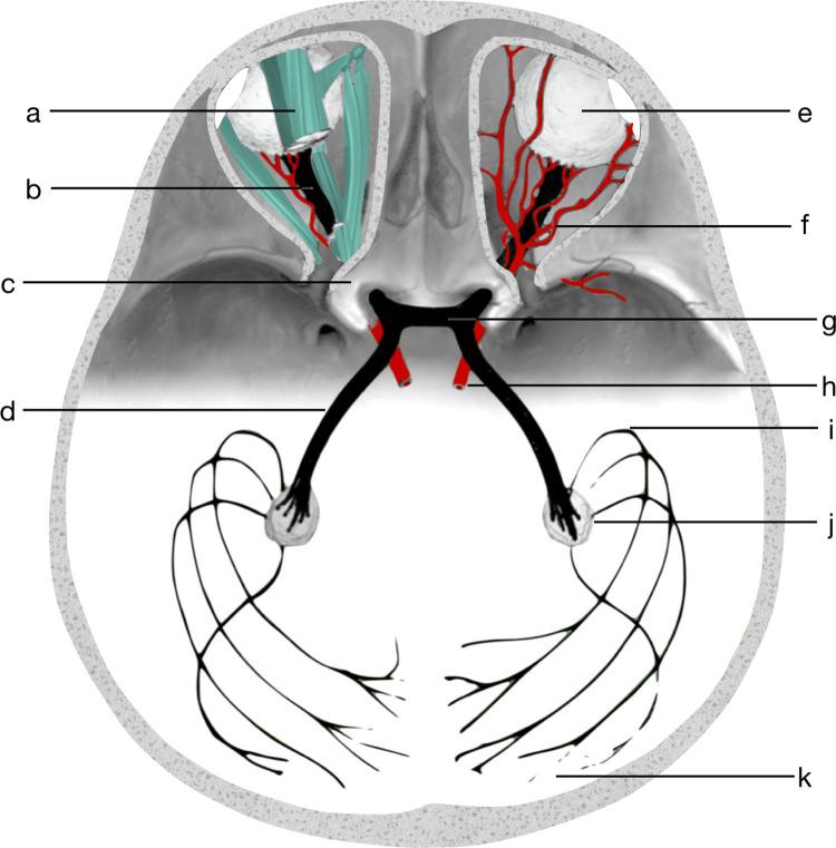 https://cdn.ncbi.nlm.nih.gov/pmc/blobs/0a19/9744320/969ce17ff63e/pone.0278987.g001.jpg