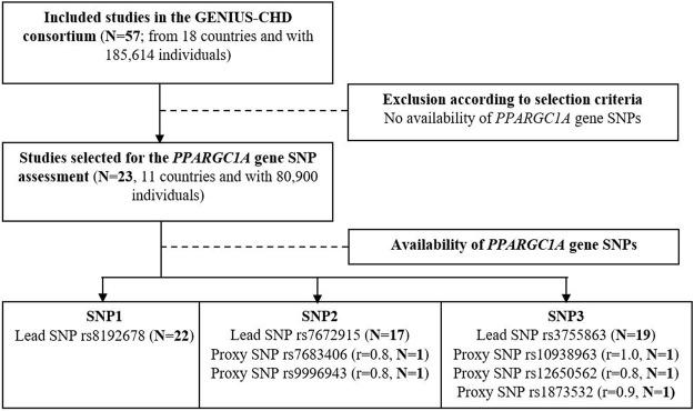 https://cdn.ncbi.nlm.nih.gov/pmc/blobs/0a1c/9260705/275ace868b27/fphys-13-909870-g001.jpg