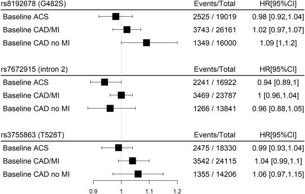 https://cdn.ncbi.nlm.nih.gov/pmc/blobs/0a1c/9260705/75be6766762e/fphys-13-909870-g004.jpg